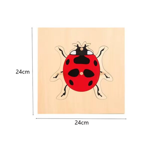 Montessori Puzzles Parish Learning Animals - Image 17