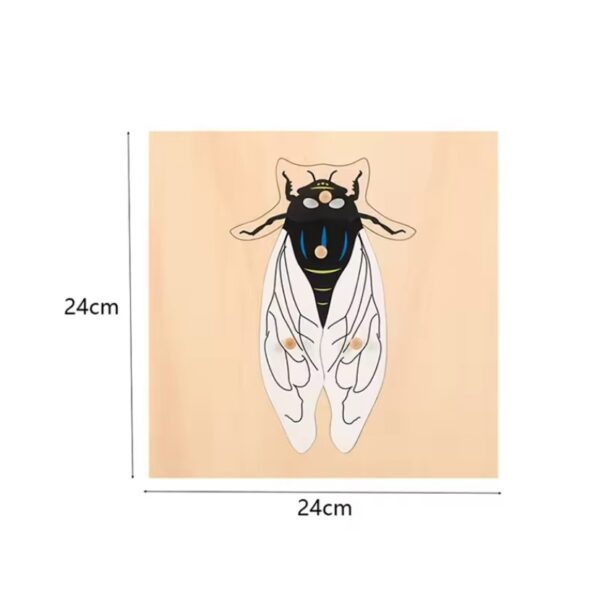 Montessori Puzzles Parish Learning Animals - Image 19