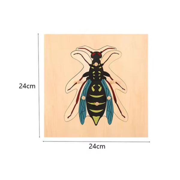 Montessori Puzzles Parish Learning Animals - Image 25