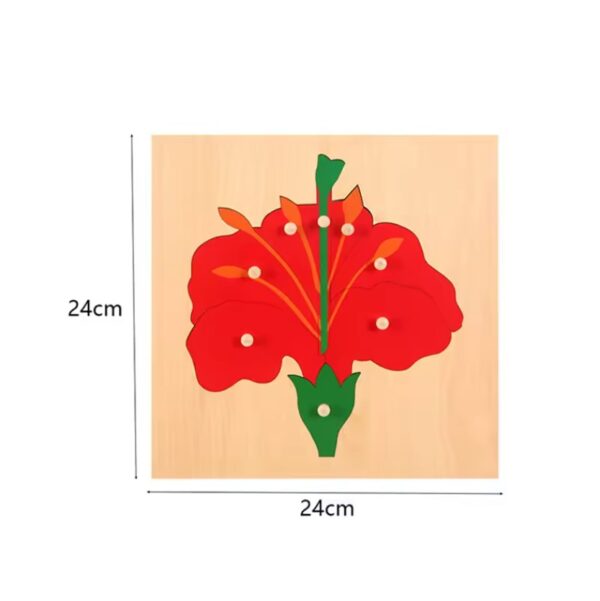 Montessori Puzzles Parish Learning Animals - Image 9